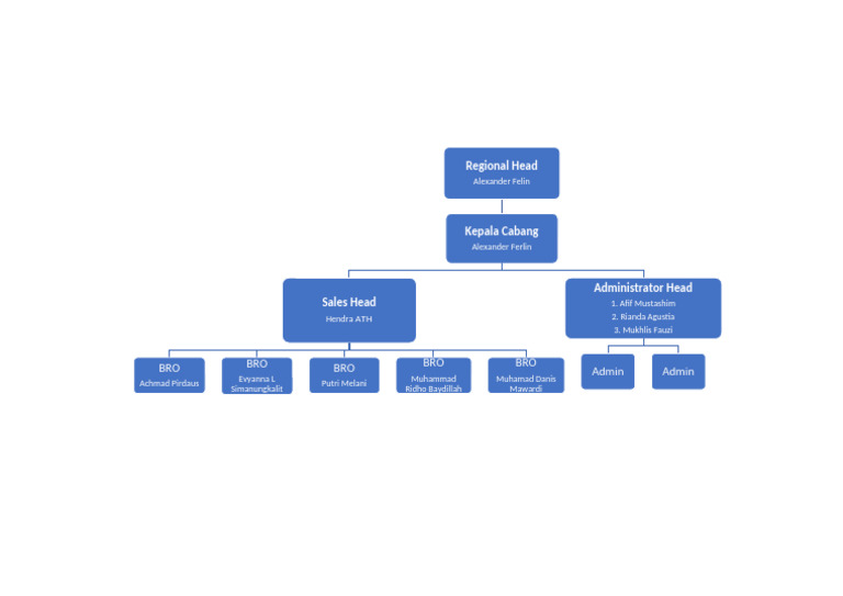 Regional Team Structure Overview | PDF