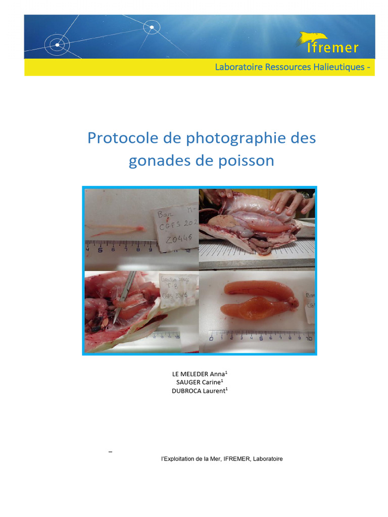 Protocole de photographie des gonades de poisson | PDF