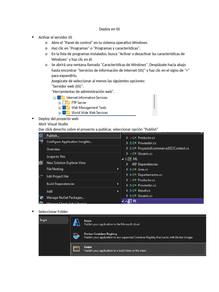 Guía de Deploy en IIS para Proyectos Web | PDF