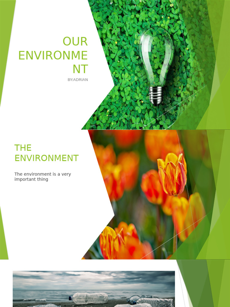 Our Environment | PDF