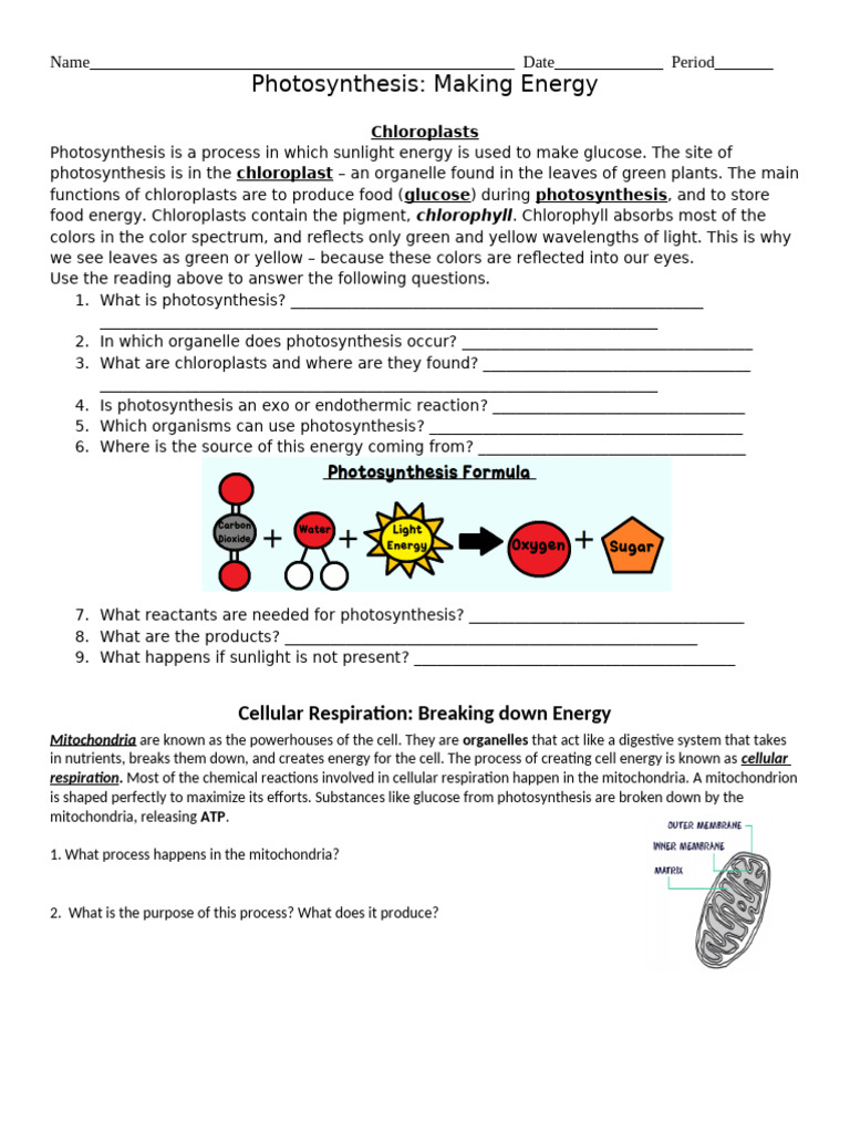 Photosynthesis and Cellular Respiration Guide | PDF | Photosynthesis ...
