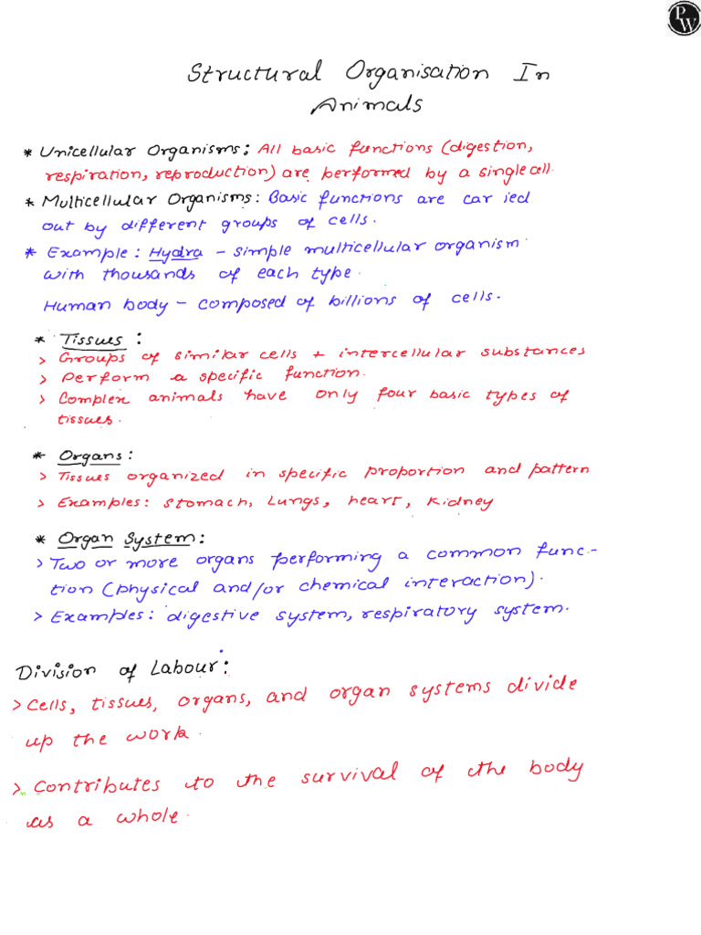 Structural Organization in Animals Handwritten Notes | PDF
