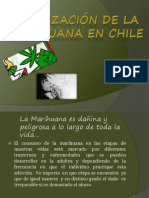 Legalización de La Marihuana en Chile