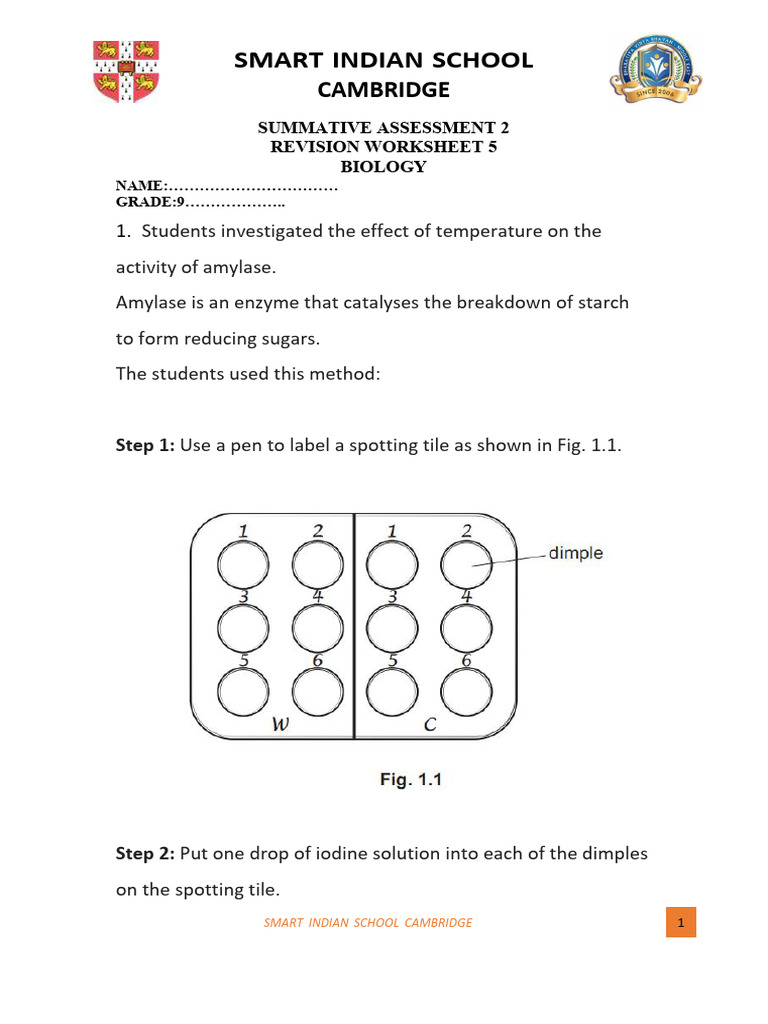 g9 Ms Sa 2 Revision Worksheet 5 | PDF | Fat | Hemoglobin