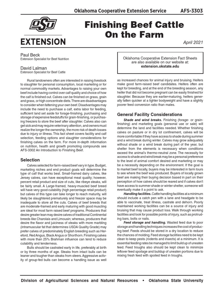 Finishing Beef Cattle on the Farm Guide | PDF | Beef | Hay