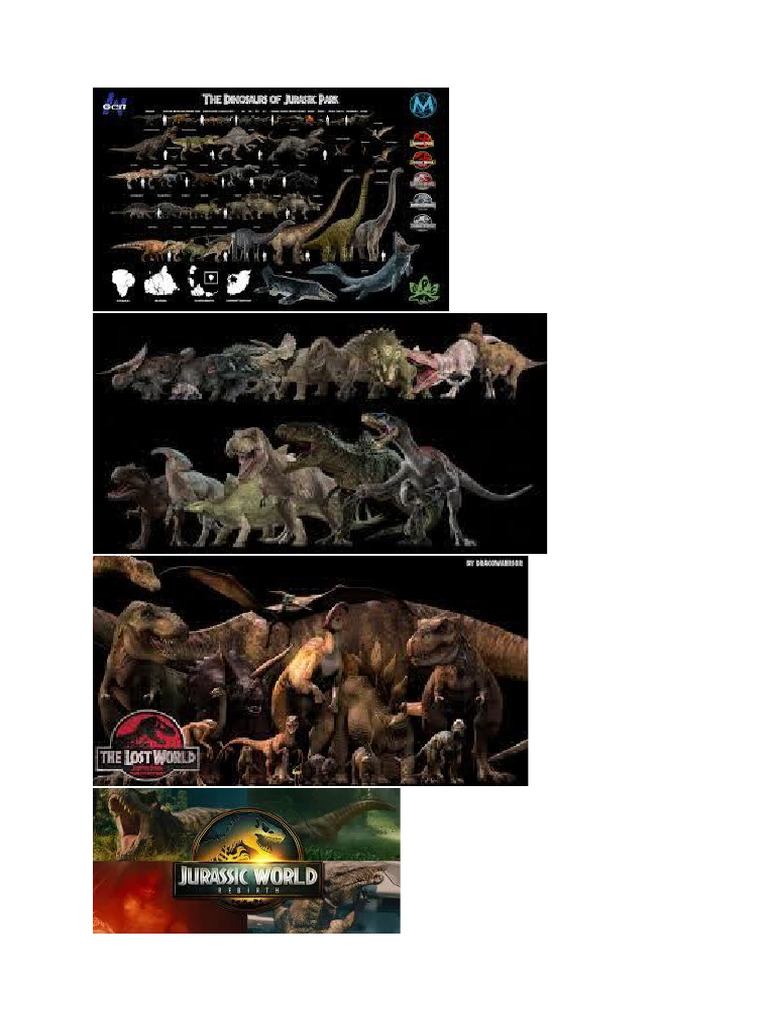 VVGV | PDF