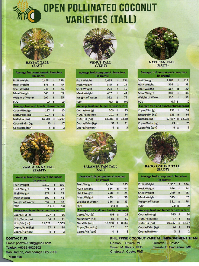 Coco Varieties | PDF