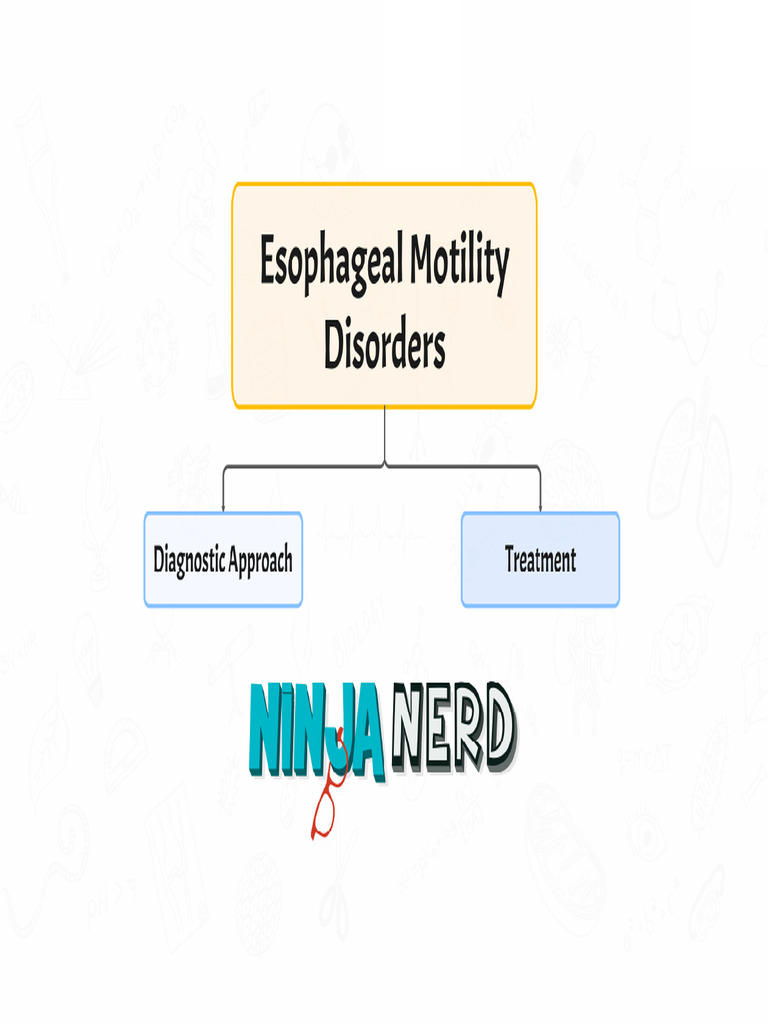 Esophageal Motility Disorders Guide | PDF | Esophagus | Digestive Diseases