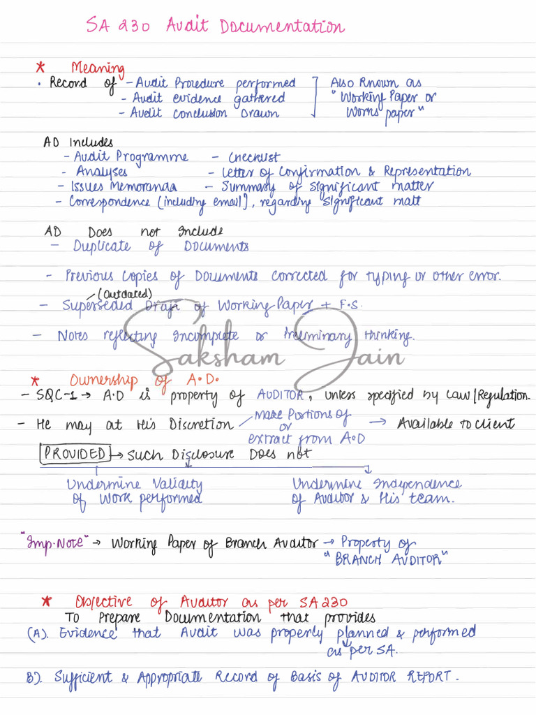 Audit Documentation Best Practices | PDF | Audit | Business