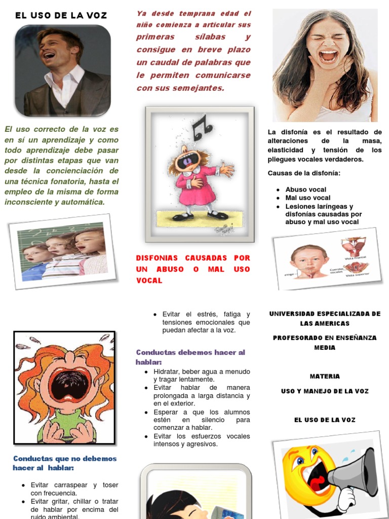 Cuidado y Uso Correcto de la Voz | PDF
