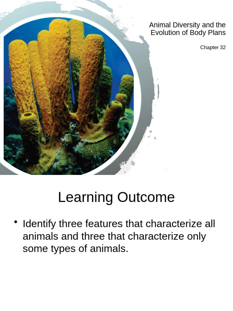Raven 11e CH 32 - Animaldevelopment | PDF | Zoology | Biology