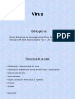 5 Virus