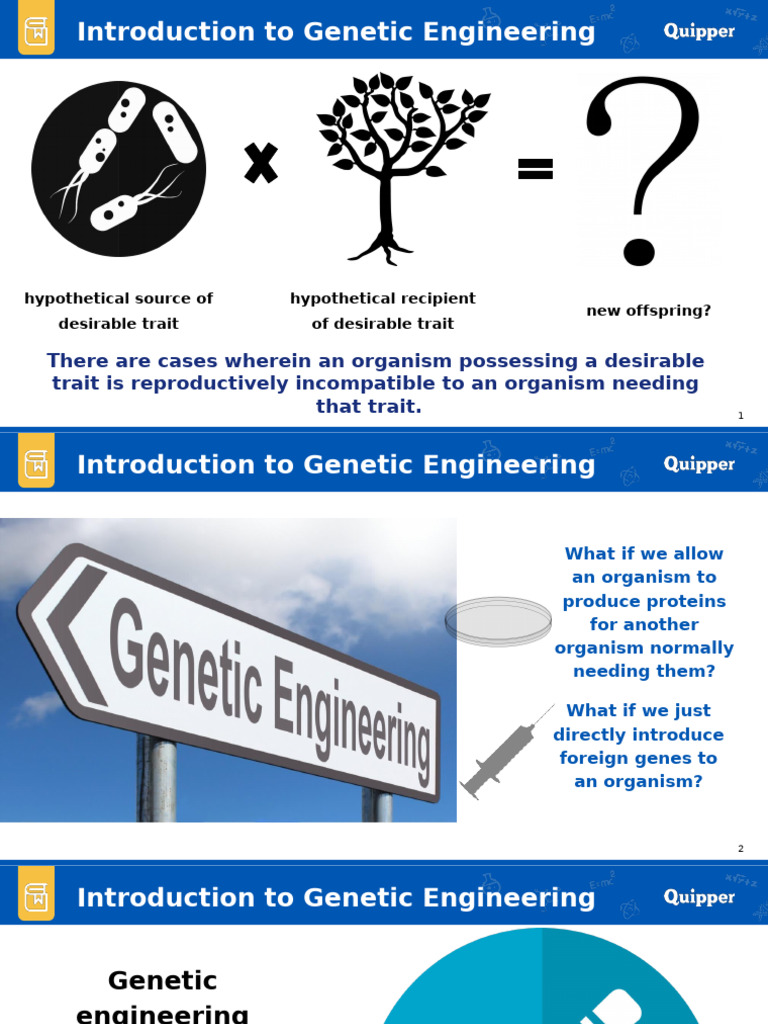 Genetic Engineering: Techniques & History | PDF | Recombinant Dna ...