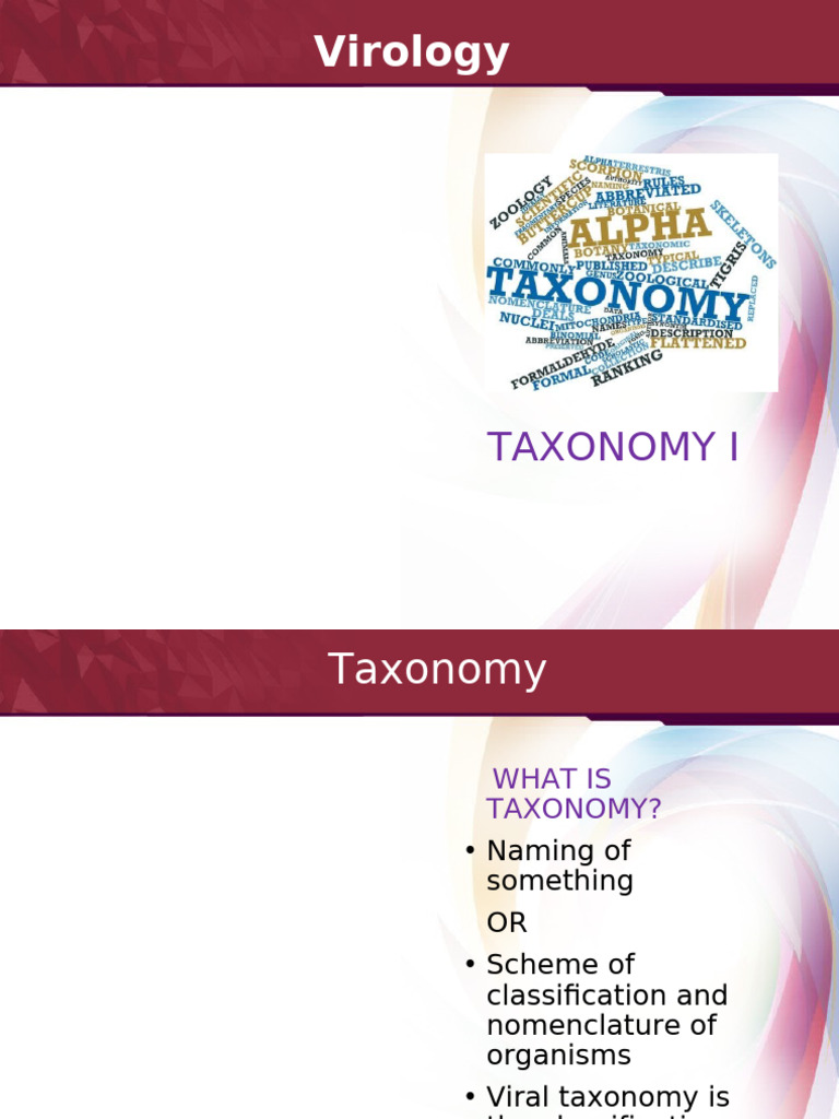 17 Taxonomy 1 | PDF