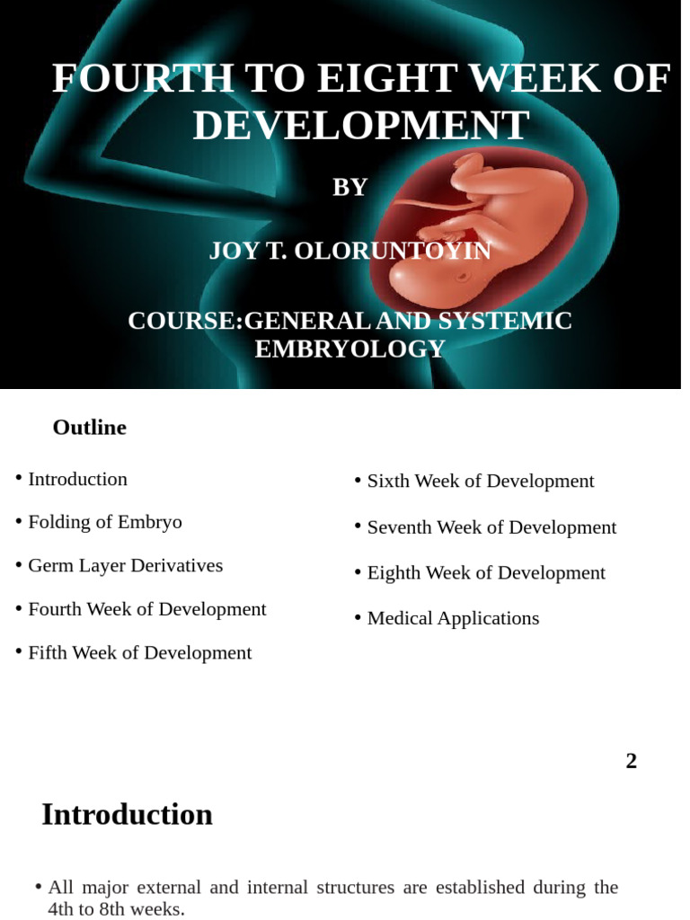 Embryonic Development Weeks 4-8 Overview | PDF | Anatomy | Morphology ...