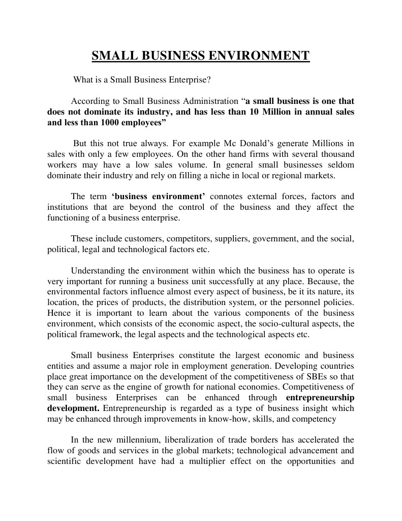 Small Business Enterprises Pdf Entrepreneurship Small Business