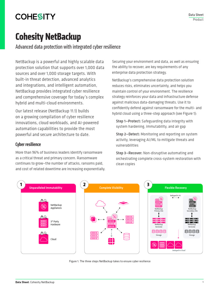 Cohesity NetBackup: Cyber Resilience Data Sheet | PDF | Security ...