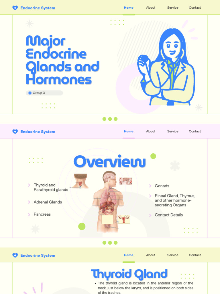 G3 Major Endocrine Glands and Hormones | PDF | Adrenal Gland | Thyroid