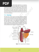NCERT Cockroach Anatomy Overview | PDF | Anatomy