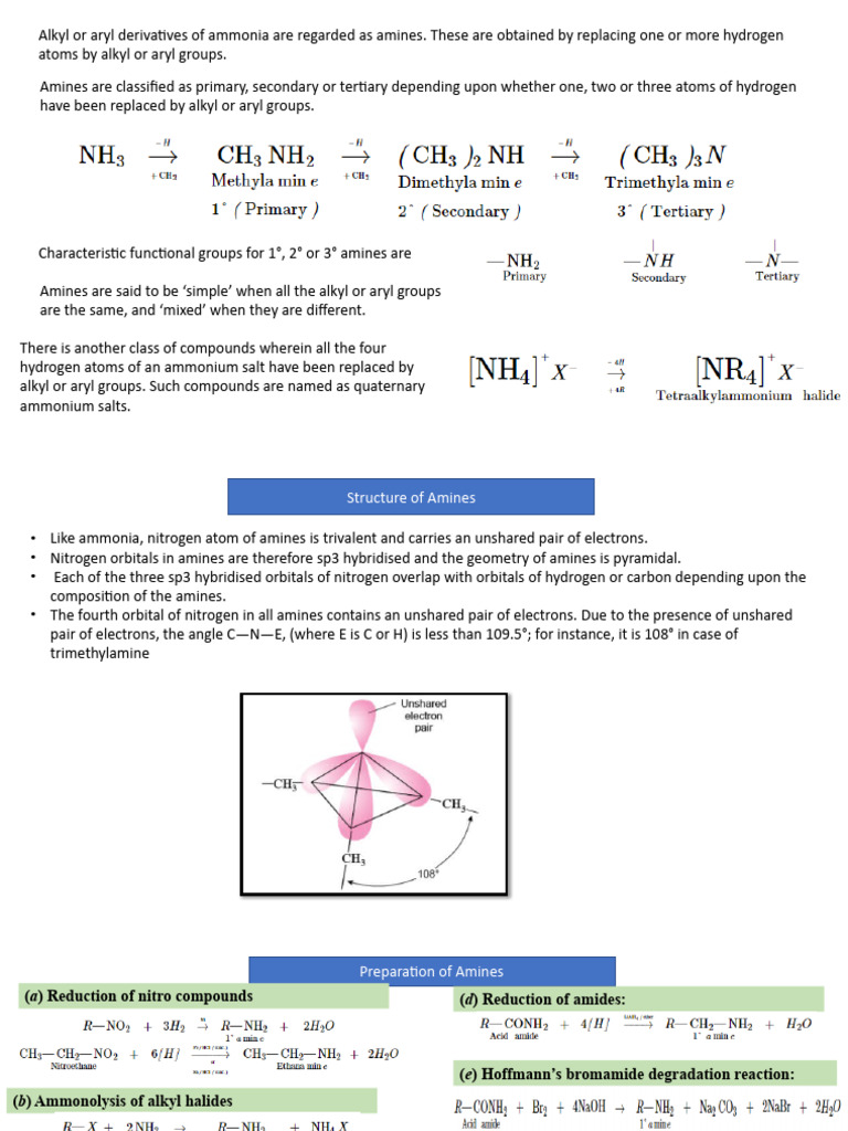 599387385-Amines | PDF | Amine | Hydrogen Compounds