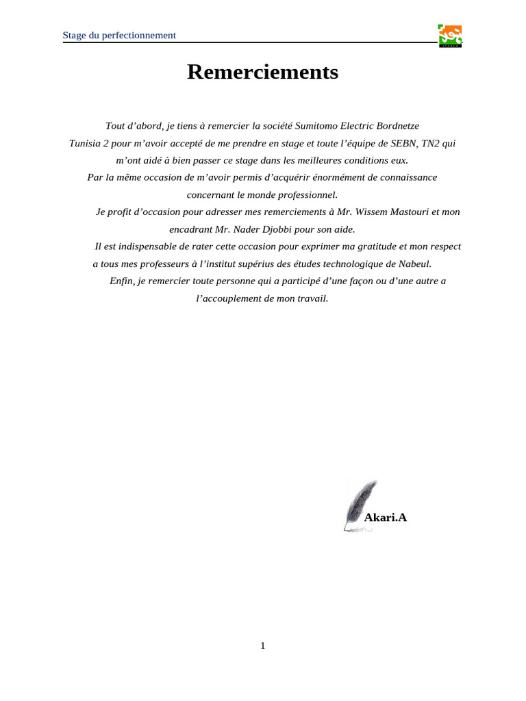 Remerciements et présentation de SEBN | PDF | Gestion des ressources ...