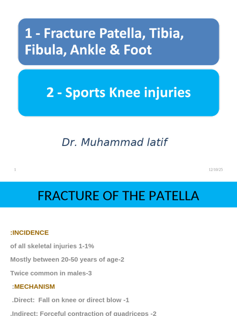 Comprehensive Guide to Knee and Leg Fractures | PDF | Knee | Limbs ...