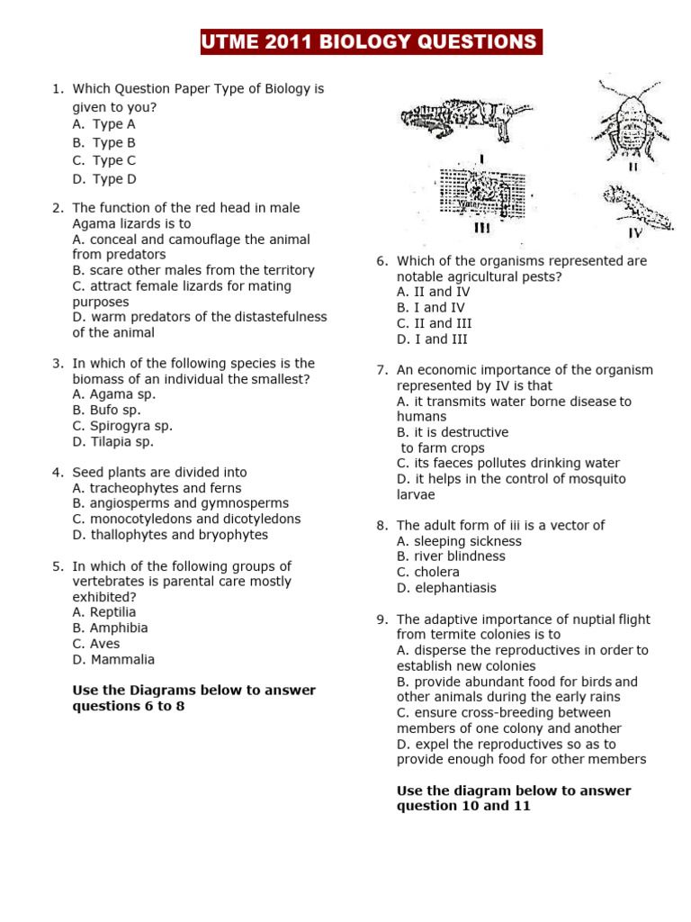 2011 UTME Biology Questions and Answers | PDF | Dominance (Genetics ...