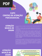 Funcionamento e Público do CAPS II | PDF