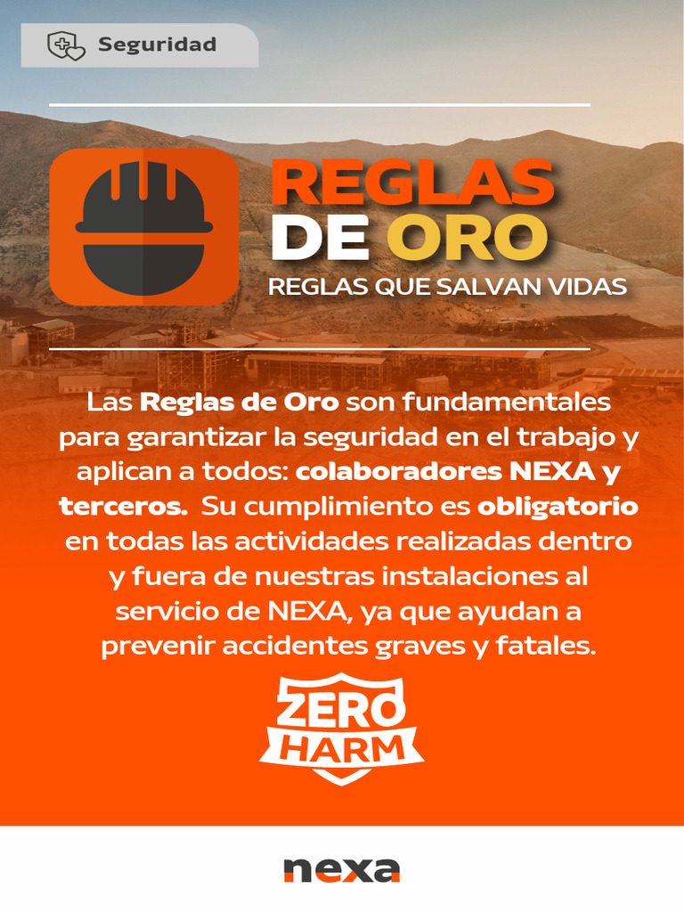 Reglas de Oro para la Seguridad Laboral | PDF | Valores | Drogas