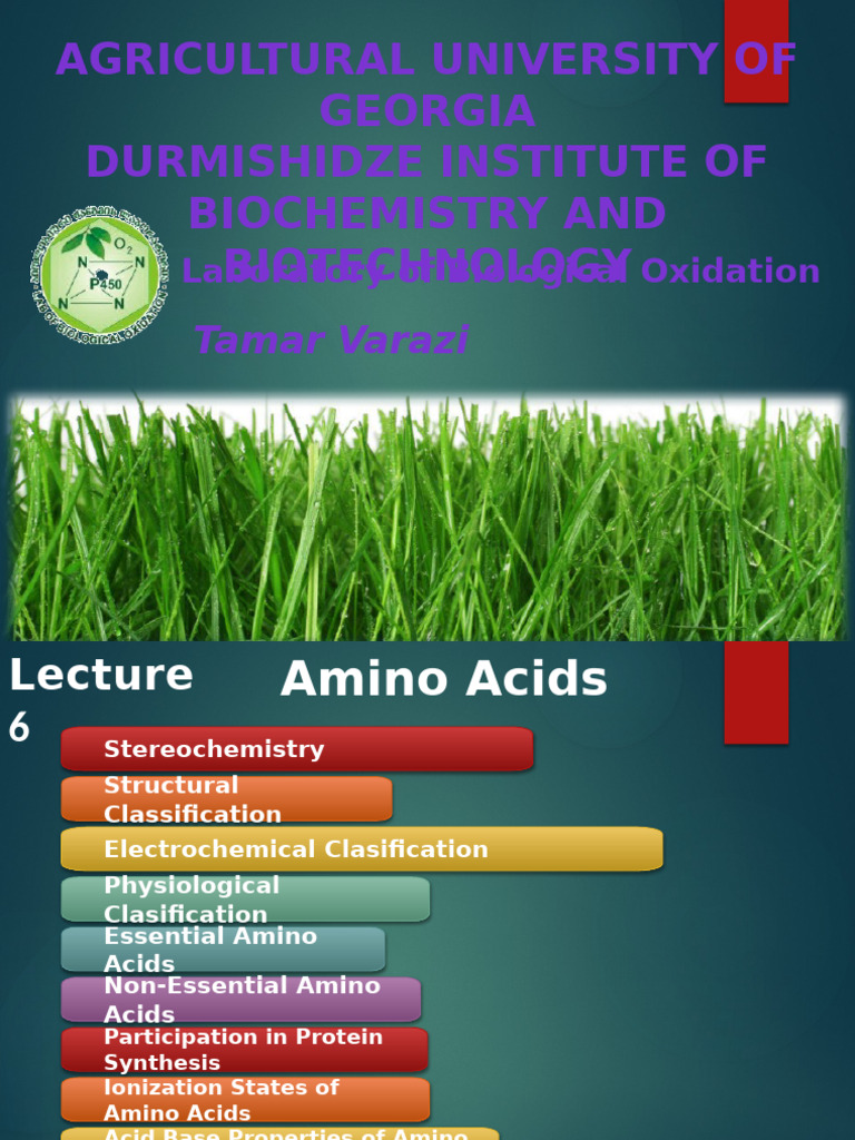 Understanding Amino Acids and Their Classifications | PDF | Amino Acid ...