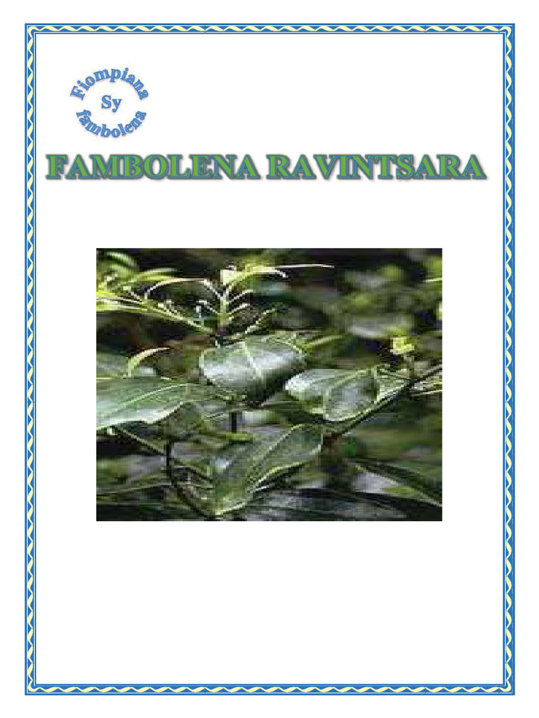 Fambolena Ravintsara (9 Page) | PDF
