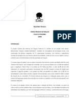 Relatório Técnico Cinema Meninos de Araçuaí Julho A Novembro 2008