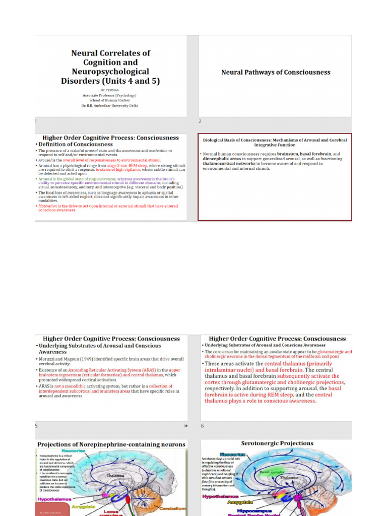 Neural Basis of Cognitive Processes and Their Disorders Class | PDF