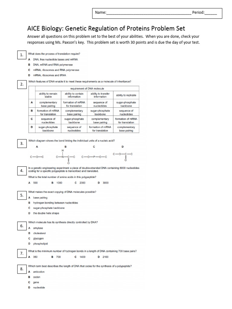 DNA Problem Set | PDF