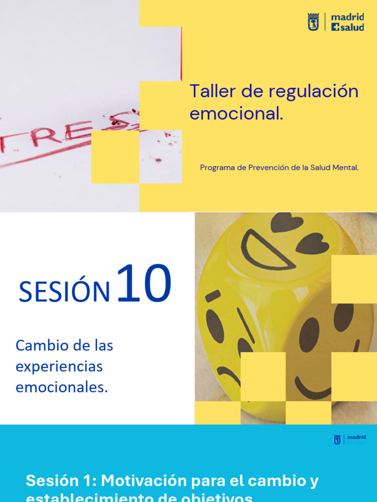 Taller de Regulación Emocional y Bienestar | PDF | Las emociones | Dormir