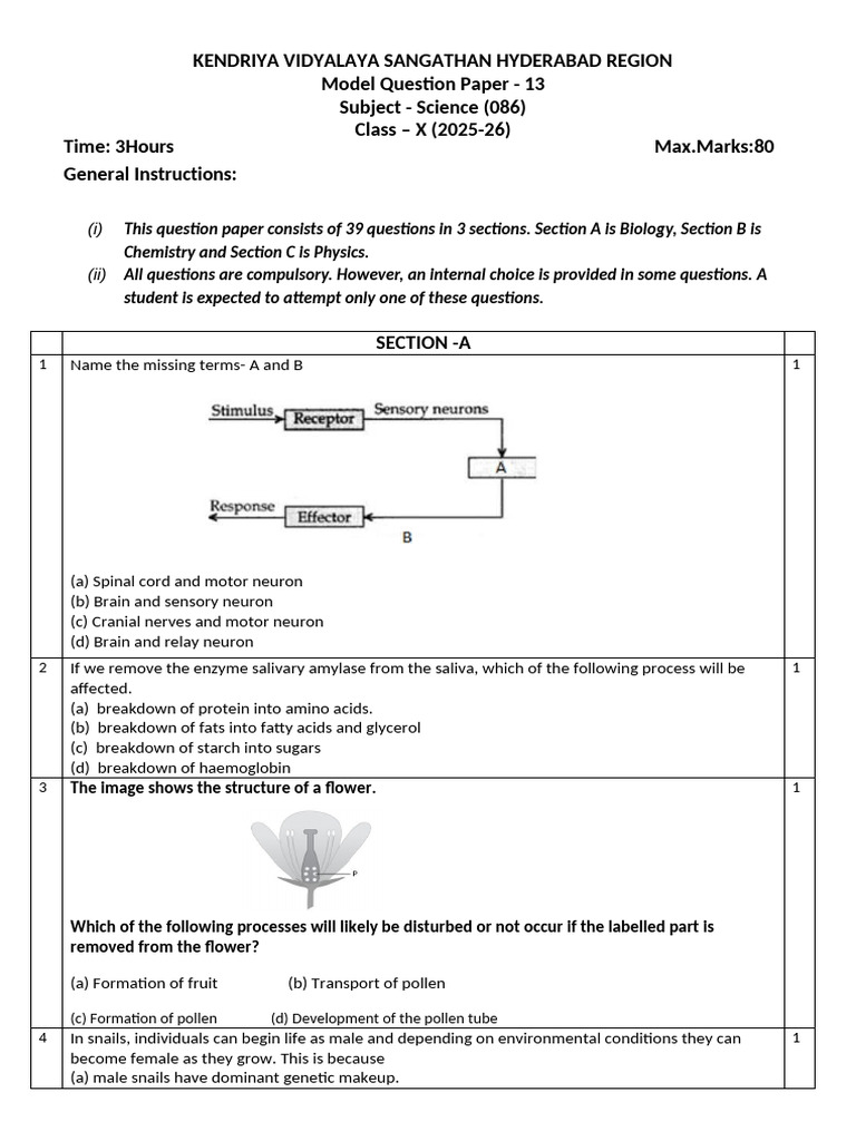 Class X Science Model Question Paper | PDF | Magnesium | Chemistry