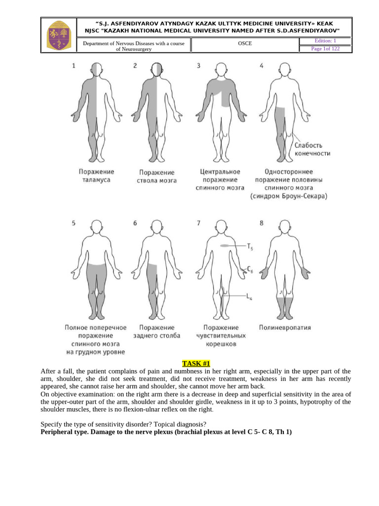 Неврология сессия. Ағылшынша | PDF | Anatomical Terms Of Motion ...