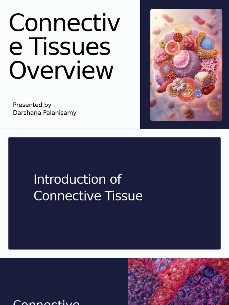 Presentation - Connective Tissues Overview_20251210_222742_0000 | PDF ...