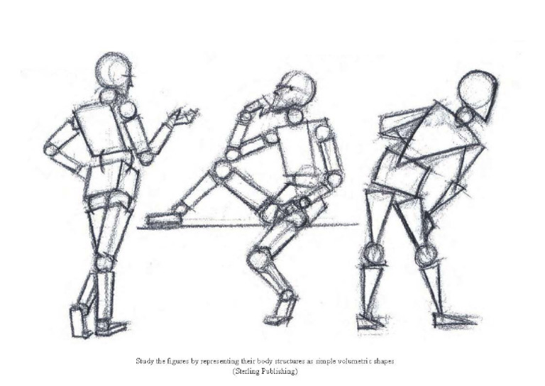 Ex 2 Representing Human Body Structures As Simple Volumetric Shapes | PDF