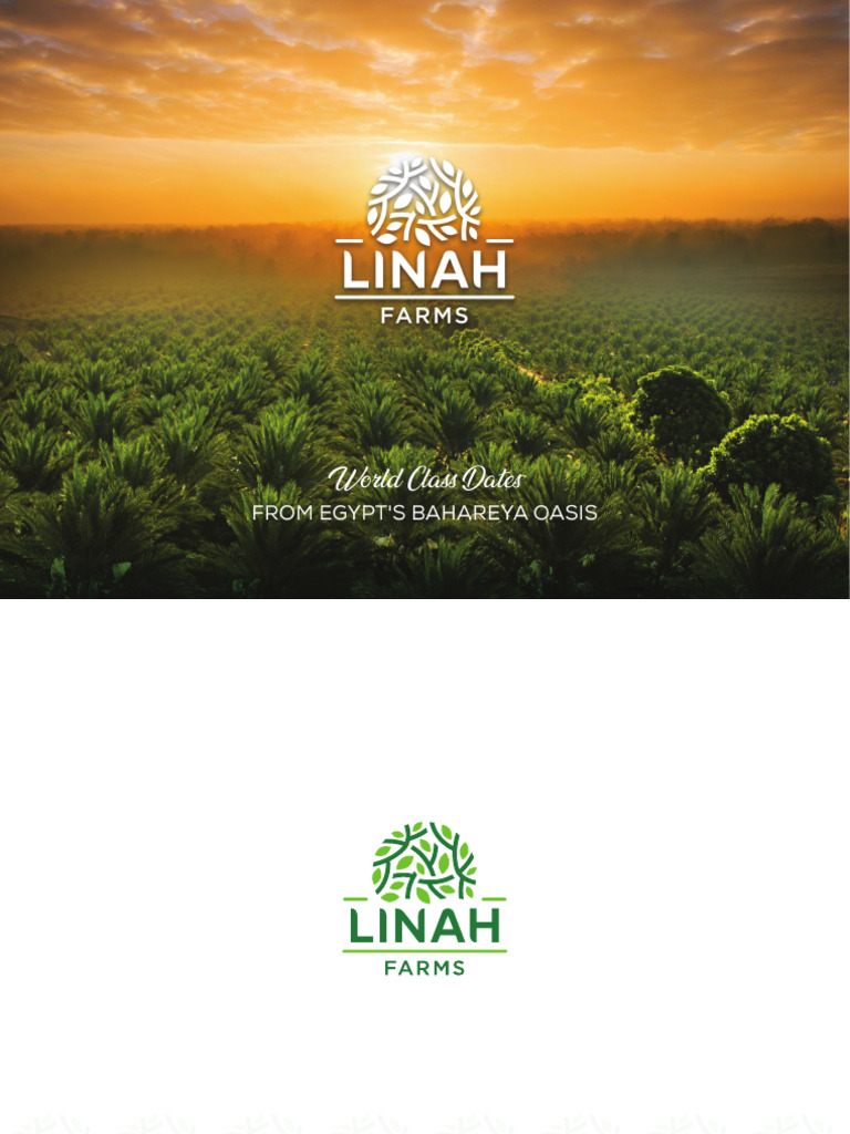 Linah Farms Medjool Dates Overview | PDF | Refrigeration | Chocolate