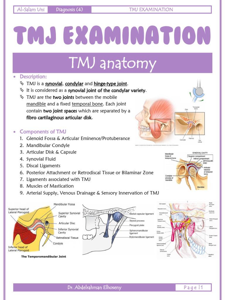 Comprehensive TMJ Examination Guide | PDF | Primate Anatomy | Human ...