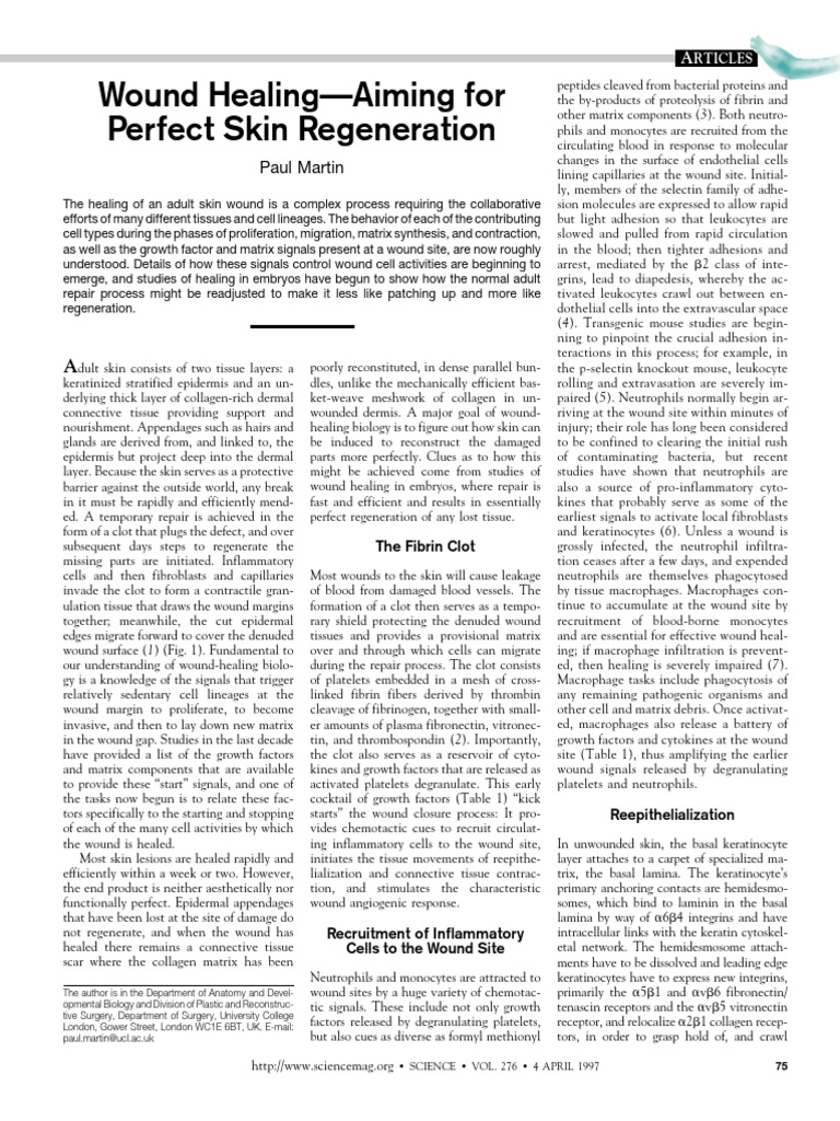 1997 Wound Healing - Aiming For Perfect Skin Regeneration | PDF | Wound ...