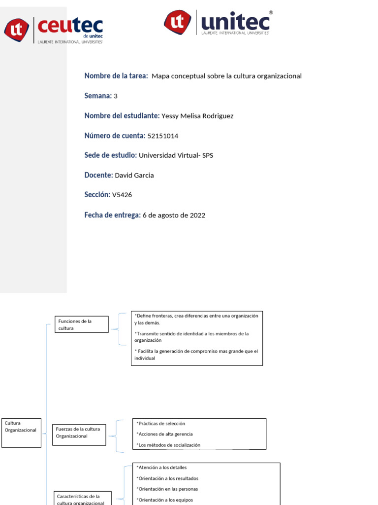 Mapa Conceptual de Cultura Organizacional | PDF | Cultura ...