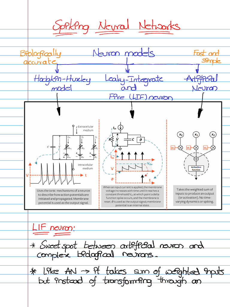 Exercise 14 - Spiking Neural Networks | PDF