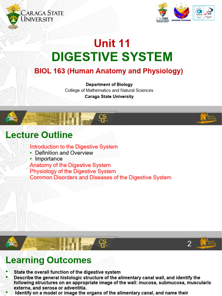 Overview of the Digestive System | PDF | Human Digestive System ...