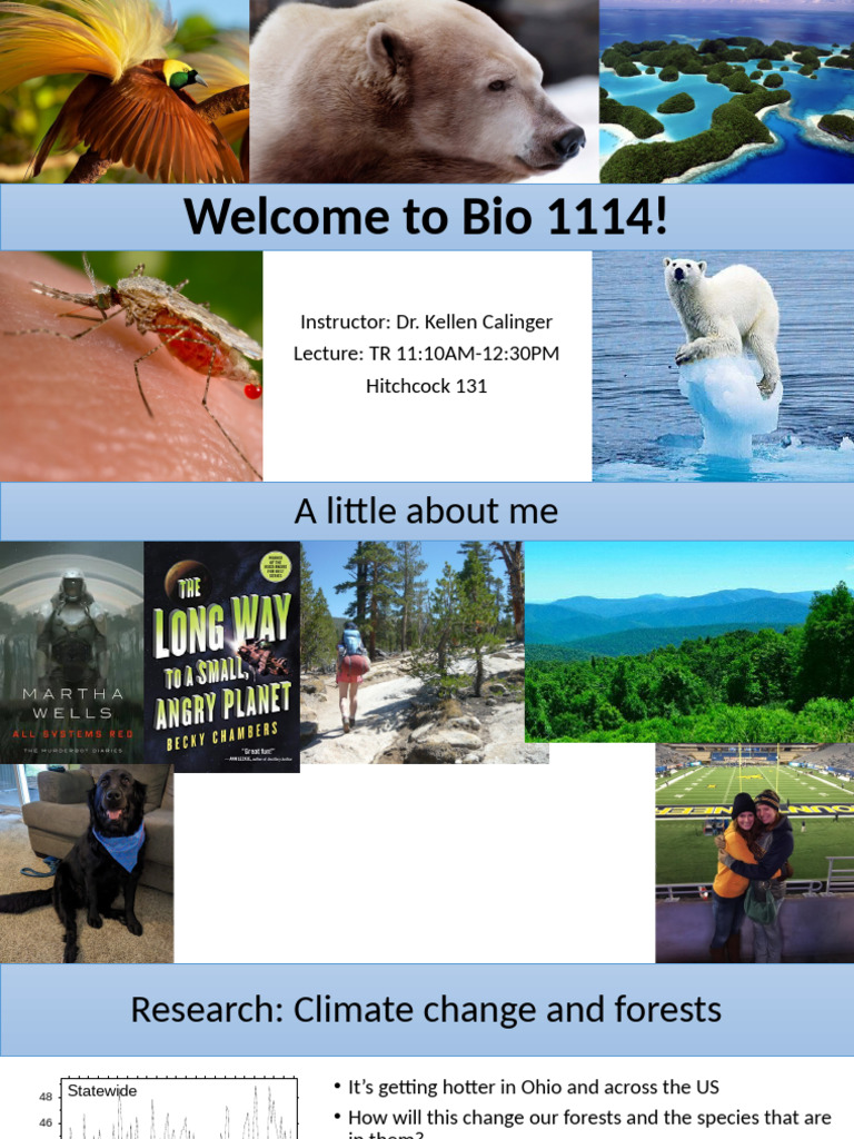 Bio 1114: Science Process Overview | PDF | Experiment | Hypothesis