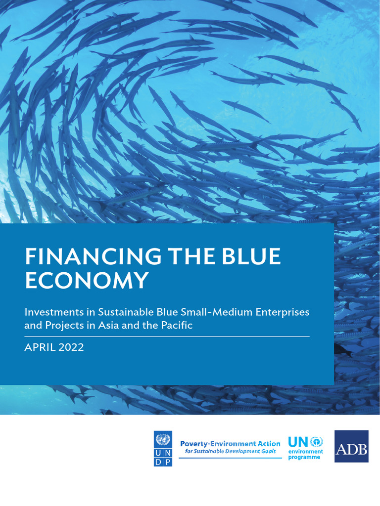 Knowledge Product Financing Blue Economy 0 | PDF | Sustainability ...