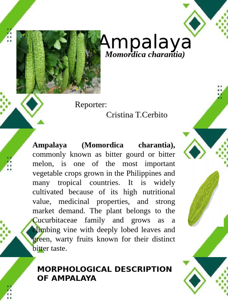 Ampalaya Cultivation Guide: Nutritional & Care | PDF | Pest Control | Pest  (Organism)