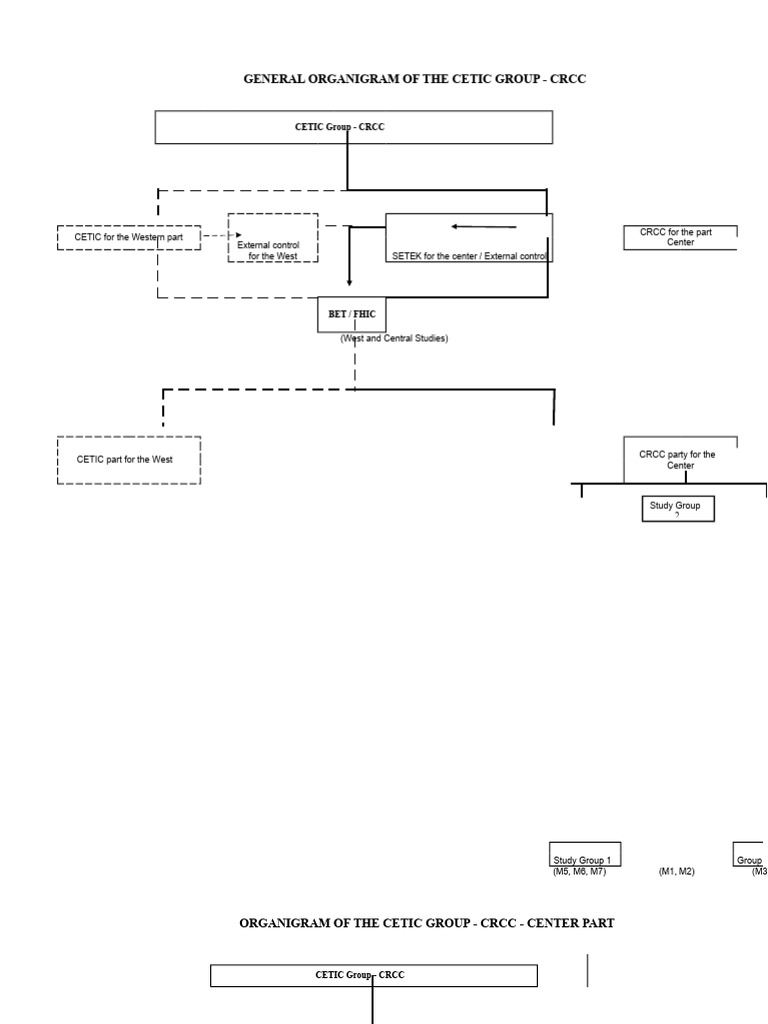 GENERAL ORGANIGRAM OF THE CETIC GROUP.doc | PDF