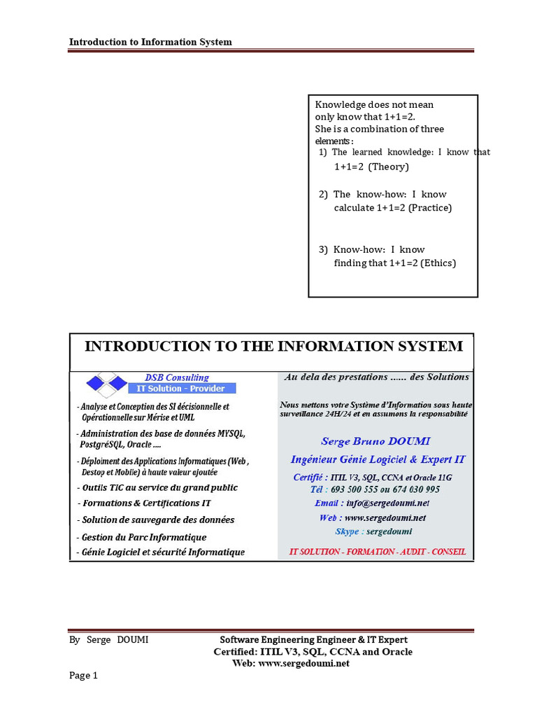 Introduction to Information Systems Guide | PDF | Data Model | System